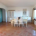 Della Marina *
